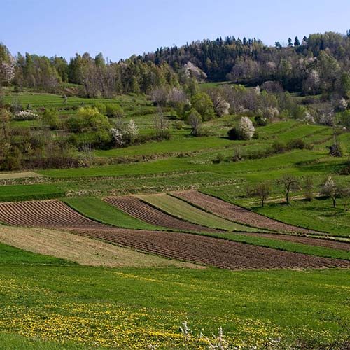 فروش زمین کشاورزی جابان دماوند