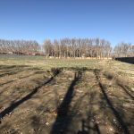 فروش زمین خارج بافت جابان