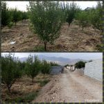 فروش زمین کشاورزی داخل بافت