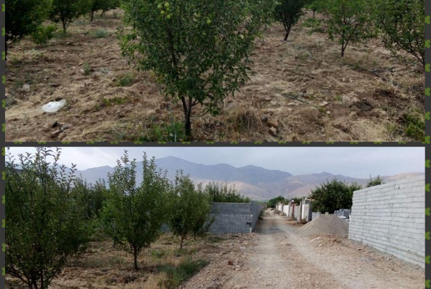 فروش زمین کشاورزی داخل بافت