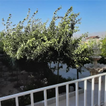 ویلا باغ فروشی جابان دماوند