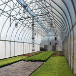 خرید زمین مناسب گلخانه در دماوند