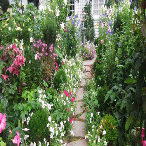 طراحی حیاط ویلا و طراحی فضای سبز ویلا